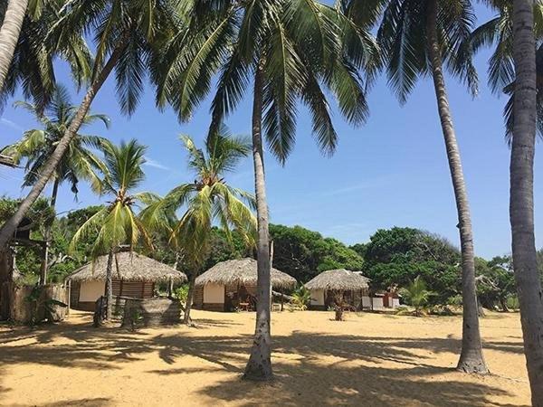 Upali Beach Surf Resort & Cafe Arugam Bay Exterior foto